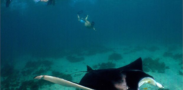 9 Day Coral Coast & Pilbara Explorer