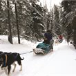 6 Day Northern Lights & Winter Nights