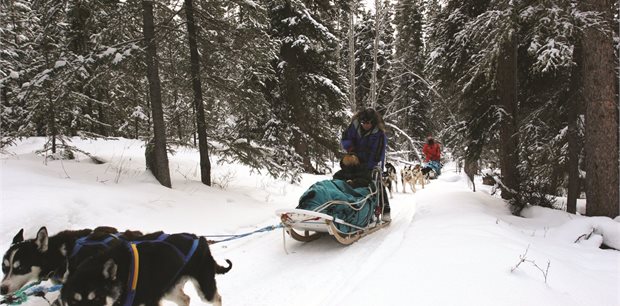 6 Day Northern Lights & Winter Nights 6 Day Northern Lights & Winter Nights