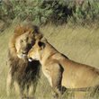 World Journeys | Best of Southern Africa