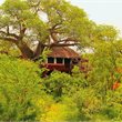 World Journeys | SkySafari Tanzania 2027