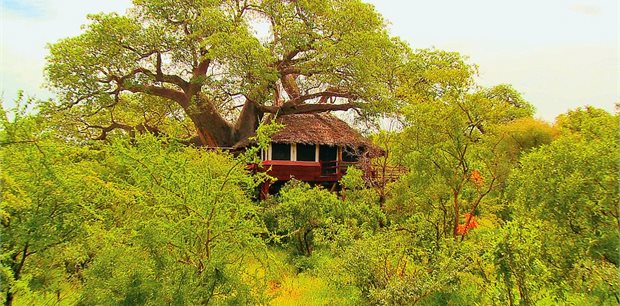 World Journeys | SkySafari Tanzania 2027