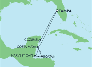 Norwegian Jewel, 7 Night Caribbean:  Harvest Caye, Cozumel & Roatan ex Tampa, Florida Return