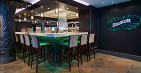 Sugarcane Mojito Bar