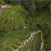 Intrepid | 18 to 35s Essential Bali & Gili Islands Intrepid | 18 to 35s Essential Bali & Gili Islands
