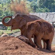 Intrepid | Beautiful Northern Thailand