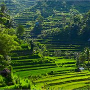 Intrepid | Indonesia: Highlights of Java Intrepid | Indonesia: Highlights of Java