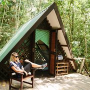 Intrepid | Classic Borneo