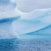 Intrepid | Antarctica's Whale Season (Ocean Albatros) 