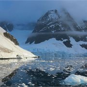 Intrepid | Antarctica's Whale Season (Ocean Nova) Quad