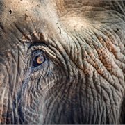 Intrepid | Classic Thailand West Coast