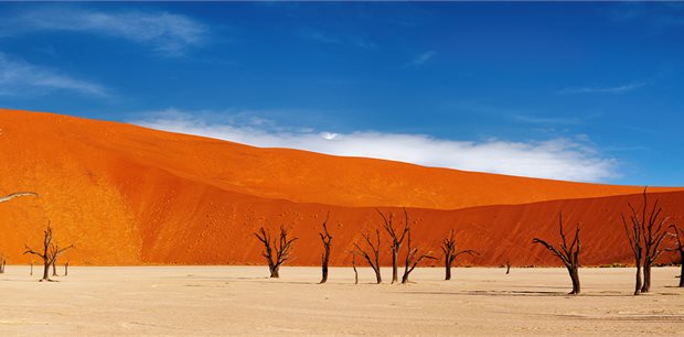 Intrepid | Premium Namibia