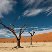 Intrepid | Premium Namibia