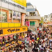 Intrepid | Japan Highlights Family Holiday