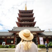 Intrepid | Premium Highlights of Japan