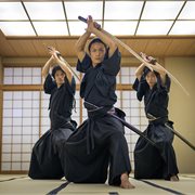Intrepid | Premium Highlights of Japan