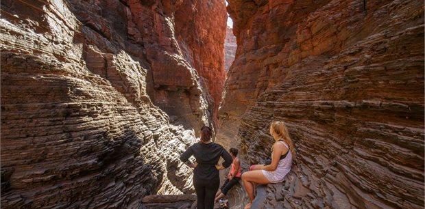 Intrepid | Karijini Explorer