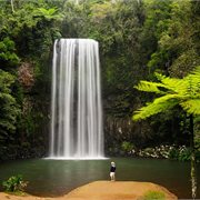 Intrepid | North Queensland Adventure Intrepid | North Queensland Adventure