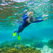 Intrepid | North Queensland Adventure Intrepid | North Queensland Adventure