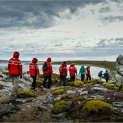 Intrepid | Exploring Antarctica's Spring (Ocean Albatros)