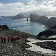 Intrepid | Exploring Antarctica's Spring (Ocean Albatros)