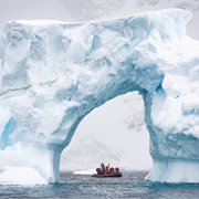 Intrepid | Exploring Antarctica's Spring (Ocean Albatros)