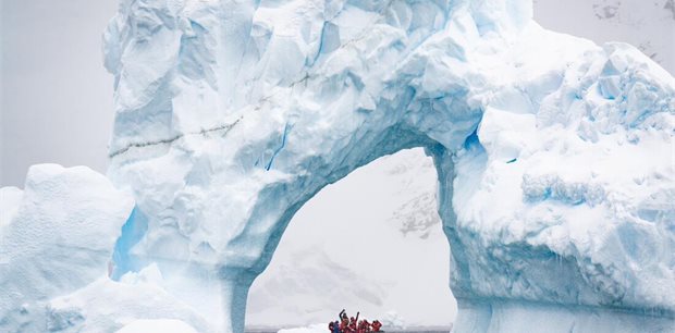 Intrepid | Exploring Antarctica's Spring (Ocean Albatros)