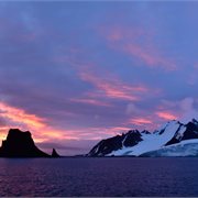 Intrepid | Exploring Antarctica's Spring (Ocean Albatros)