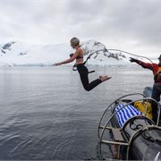 Intrepid | Christmas Season in Antarctica (Ocean Victory) Intrepid | Christmas Season in Antarctica (Ocean Victory)