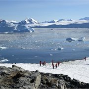 Intrepid | Christmas Season in Antarctica (Ocean Victory) Intrepid | Christmas Season in Antarctica (Ocean Victory)