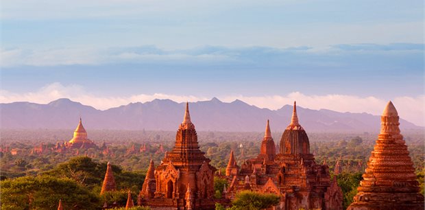 Peregrine | Magical Myanmar